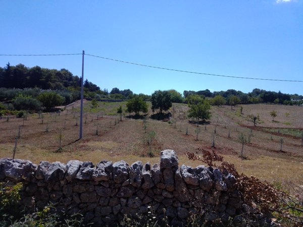casa indipendente in vendita a Martina Franca in zona Centro Storico