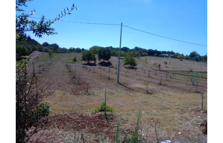 terreno agricolo in vendita a Martina Franca