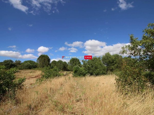 terreno edificabile in vendita a Martina Franca