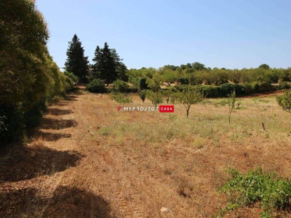 terreno edificabile in vendita a Martina Franca