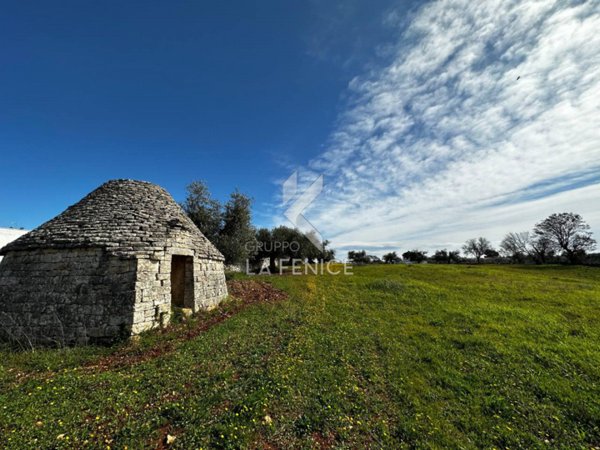 casa indipendente in vendita a Martina Franca
