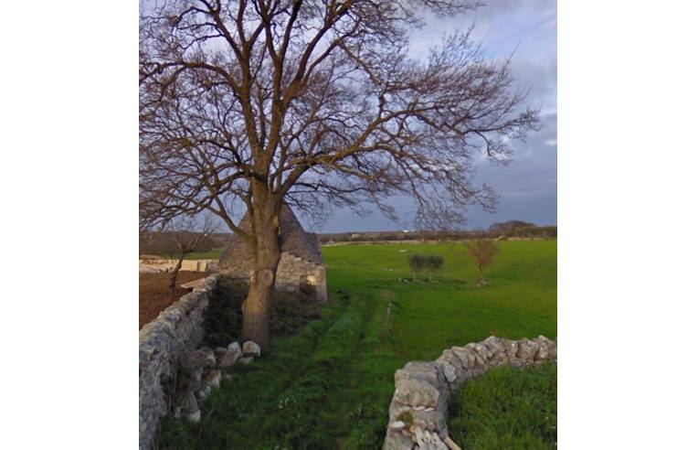 terreno agricolo in vendita a Martina Franca