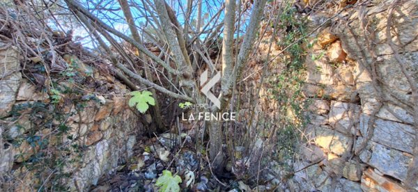 casale in vendita a Martina Franca