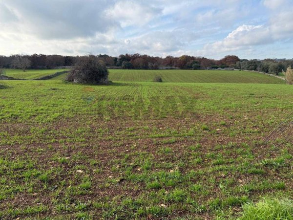 terreno edificabile in vendita a Martina Franca