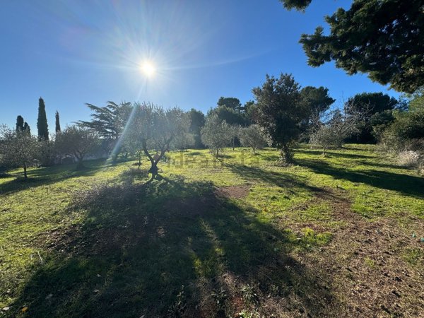 appartamento in vendita a Martina Franca in zona Centro Storico