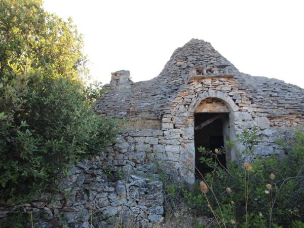 terreno agricolo in vendita a Martina Franca