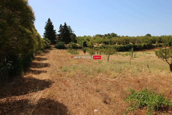 terreno edificabile in vendita a Martina Franca