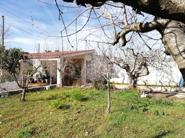 casa indipendente in vendita a Martina Franca