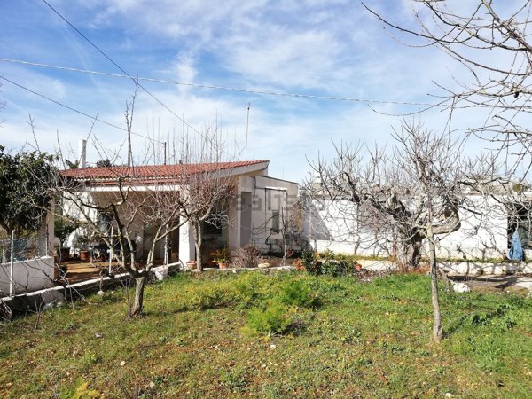 casa indipendente in vendita a Martina Franca