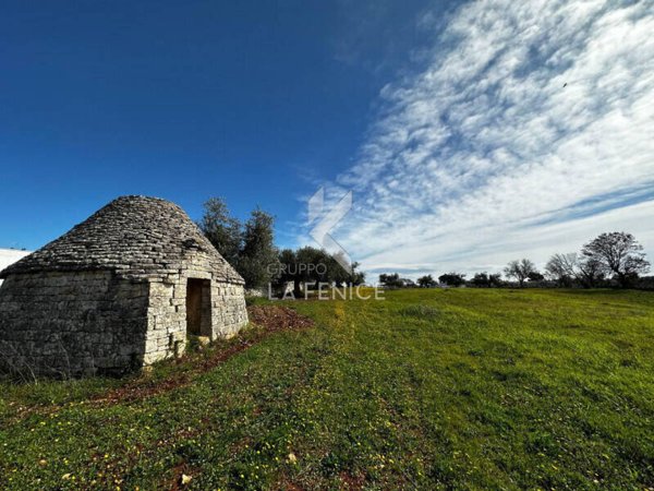 casa indipendente in vendita a Martina Franca