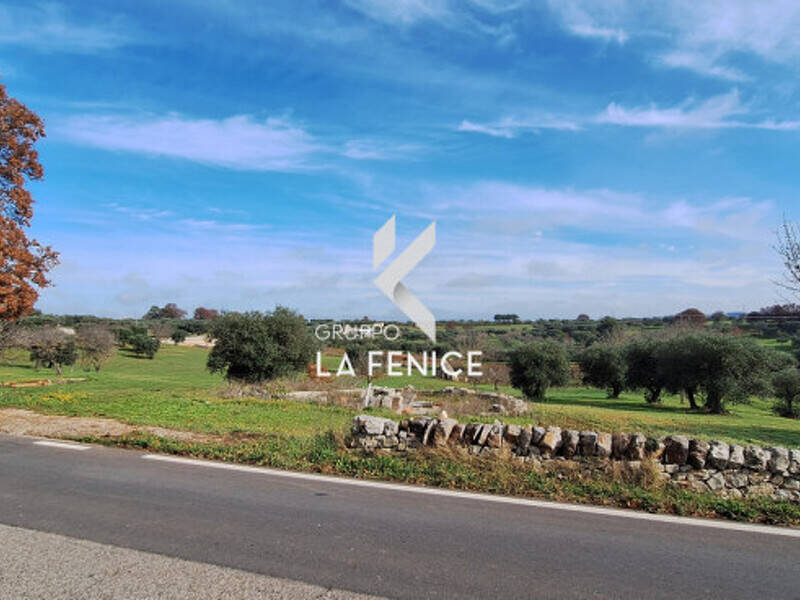 terreno agricolo in vendita a Martina Franca