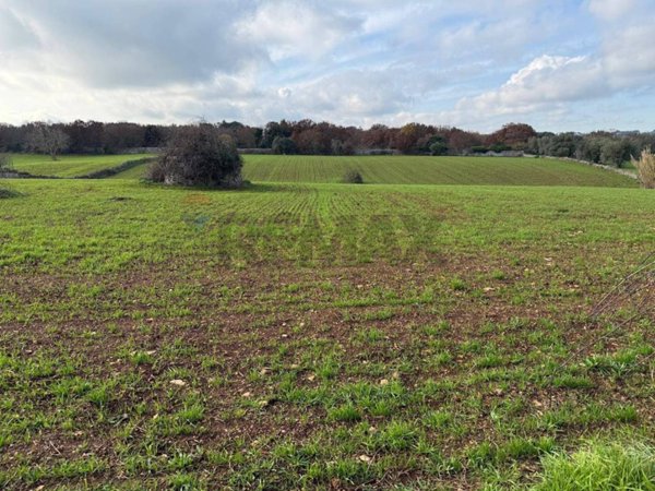 terreno edificabile in vendita a Martina Franca