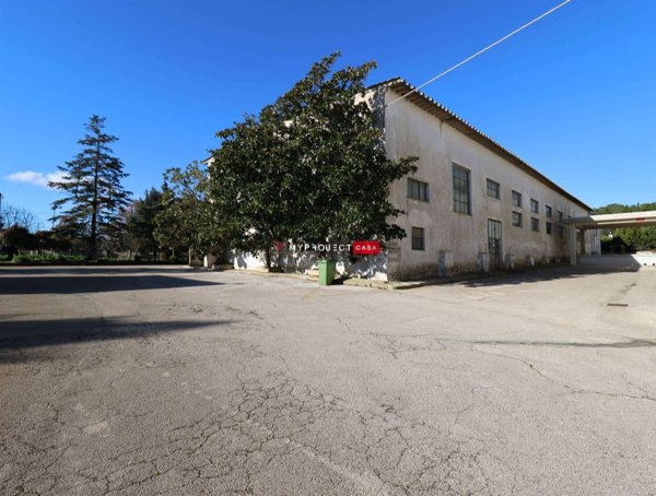 casa indipendente in vendita a Martina Franca