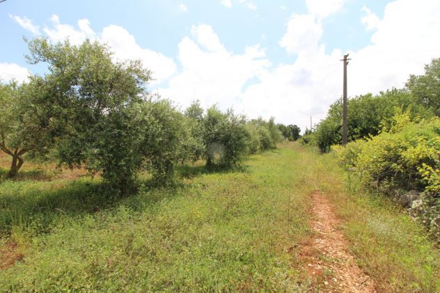 terreno agricolo in vendita a Martina Franca in zona Monti del Duca