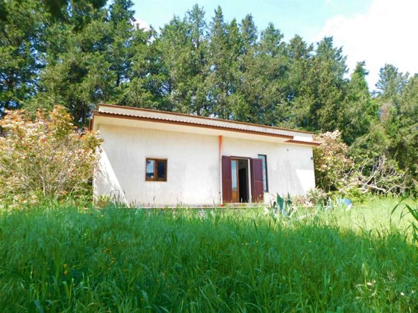 immagine annuncio 0 di 1