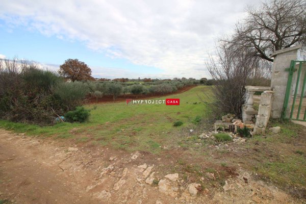 casa indipendente in vendita a Martina Franca