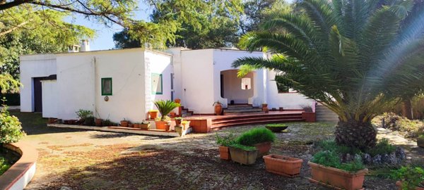 casa indipendente in vendita a Martina Franca in zona San Paolo