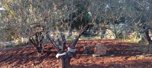appartamento in vendita a Martina Franca