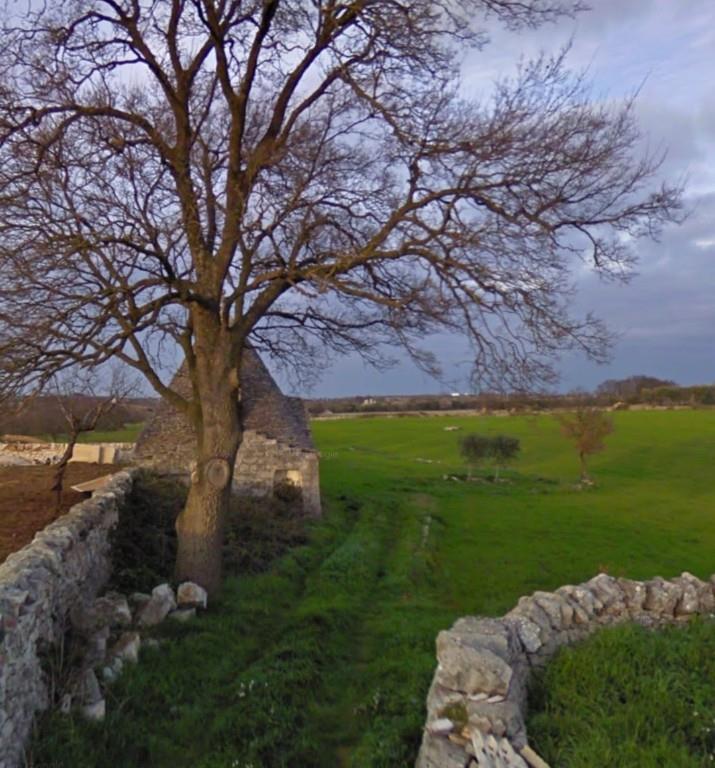 terreno agricolo in vendita a Martina Franca