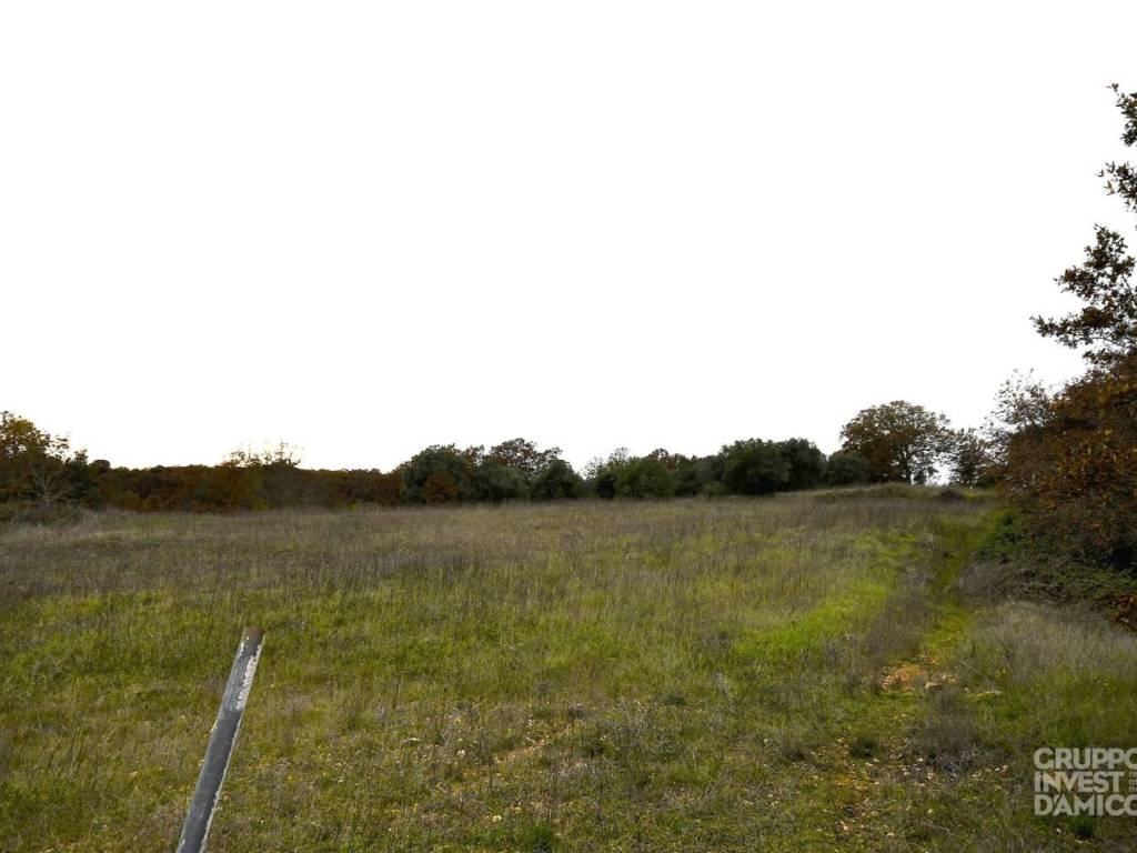 terreno agricolo in vendita a Martina Franca in zona Capitolo
