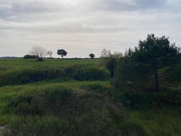 terreno agricolo in vendita a Martina Franca in zona Lamia Vecchia