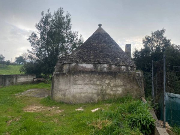 terreno agricolo in vendita a Martina Franca