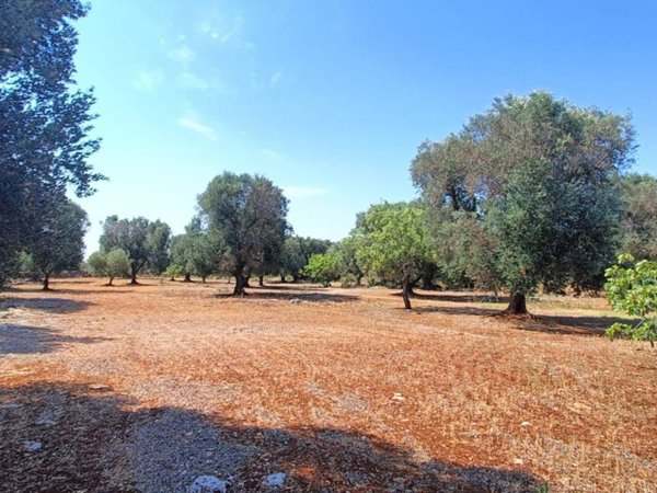 casa indipendente in vendita a Martina Franca in zona Monte Fellone