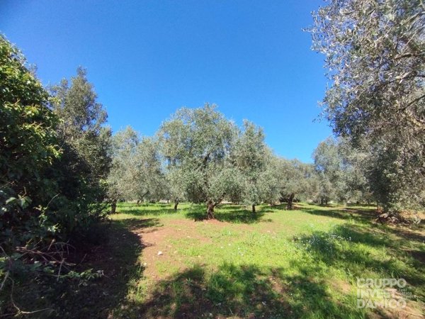 casale in vendita a Martina Franca