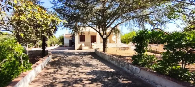 casa indipendente in vendita a Martina Franca