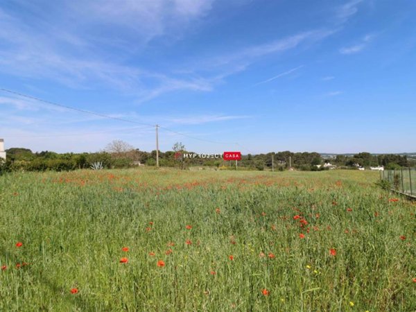 terreno in vendita a Martina Franca