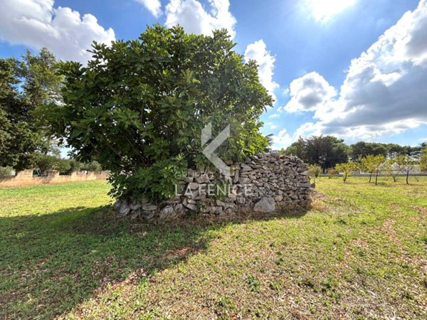 terreno in vendita a Martina Franca