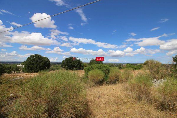 terreno in vendita a Martina Franca