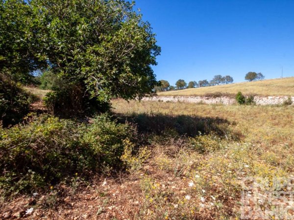 terreno in vendita a Martina Franca