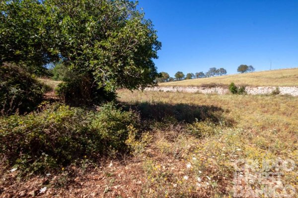 terreno in vendita a Martina Franca