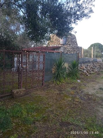 terreno agricolo in vendita a Maruggio