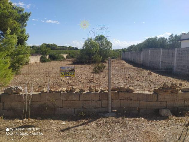 terreno agricolo in vendita a Maruggio in zona Mirante