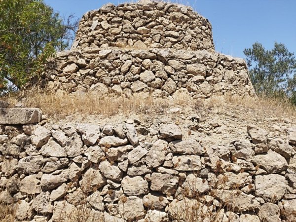 terreno agricolo in vendita a Maruggio