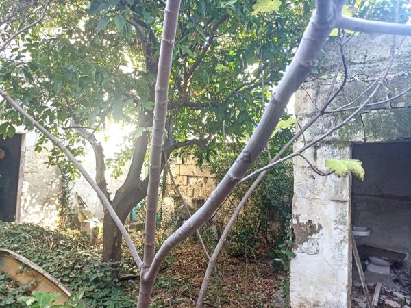 casa indipendente in vendita a Maruggio