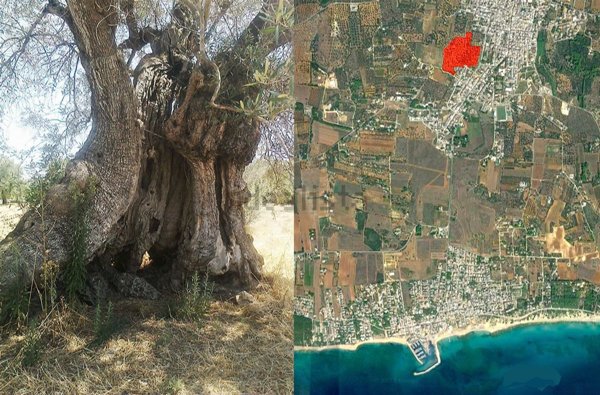 casa indipendente in vendita a Maruggio