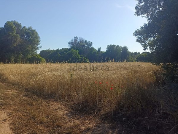 terreno agricolo in vendita a Maruggio
