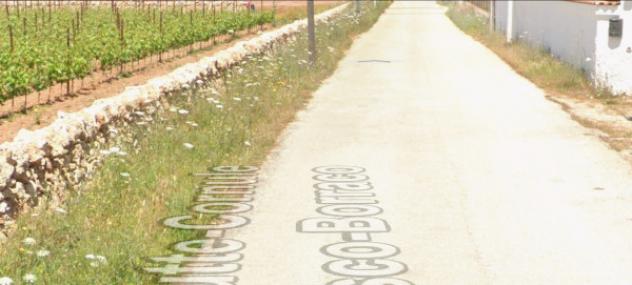 terreno agricolo in vendita a Maruggio in zona Mirante