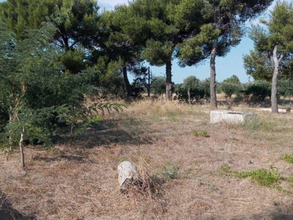 terreno agricolo in vendita a Maruggio in zona Acqua Dolce