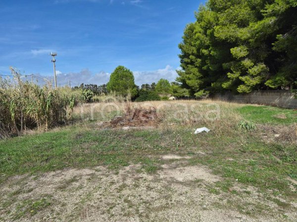 terreno agricolo in vendita a Maruggio in zona Acqua Dolce