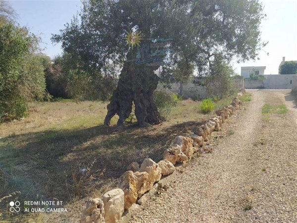 casale in vendita a Maruggio