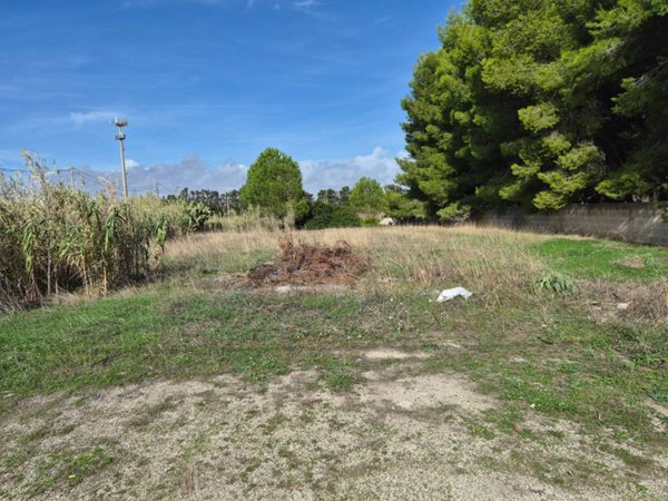 terreno agricolo in vendita a Maruggio in zona Acqua Dolce