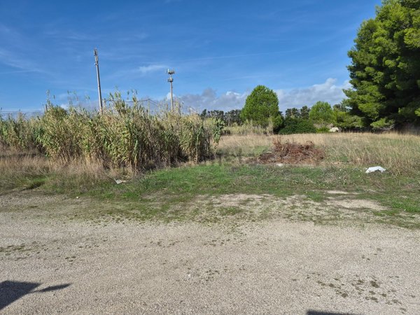 terreno agricolo in vendita a Maruggio in zona Acqua Dolce