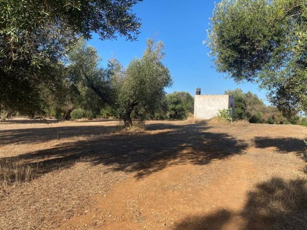 terreno agricolo in vendita a Maruggio