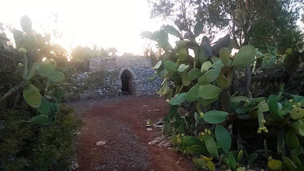terreno agricolo in vendita a Maruggio
