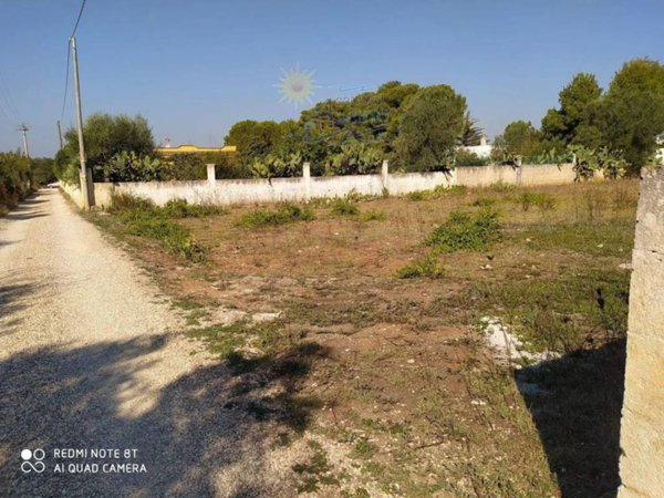 terreno agricolo in vendita a Maruggio