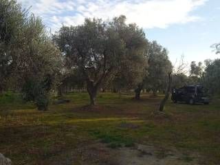 terreno in vendita a Maruggio